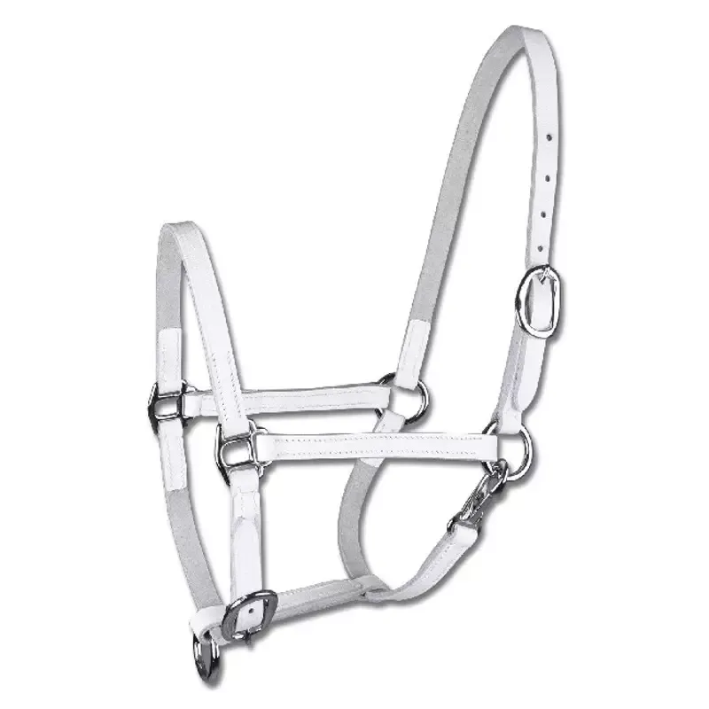 Dernire Chance Licol cuir prsentation poulain - Licol Blanc ou Noir - Cheval - Noir