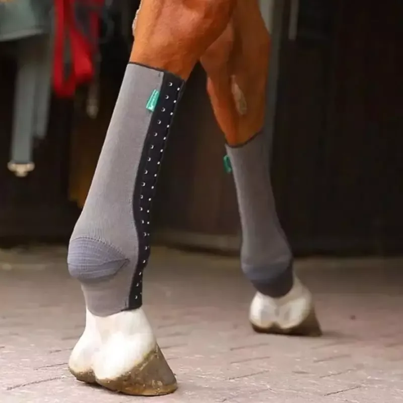 Vente Flash Chaussette compression cheval Fit Silver EquiCrown - XL