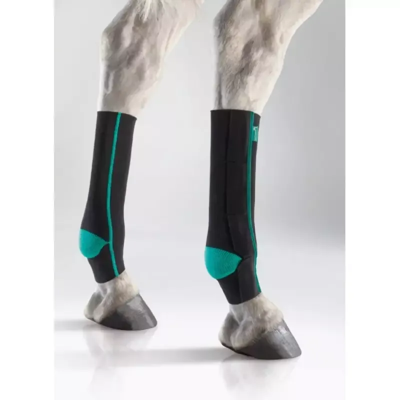Nouvel Arrivage Chaussette compression cheval EquiCrown Active - XL