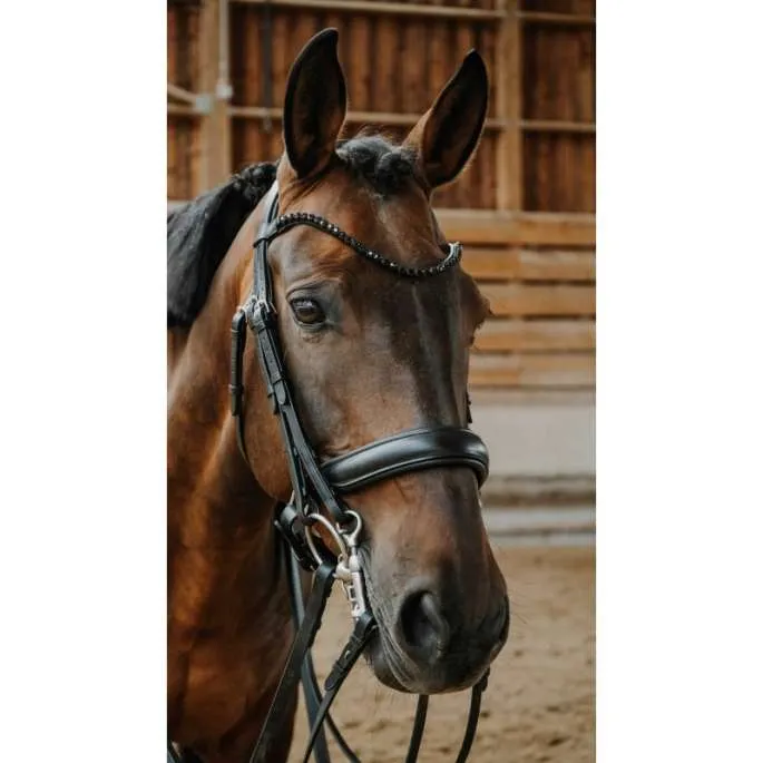 Bride de dressage Onyx - Norton - noir - cheval (full ) Bon March