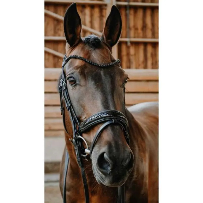 Bridon Royal - Norton - noir - cheval (full ) Marque