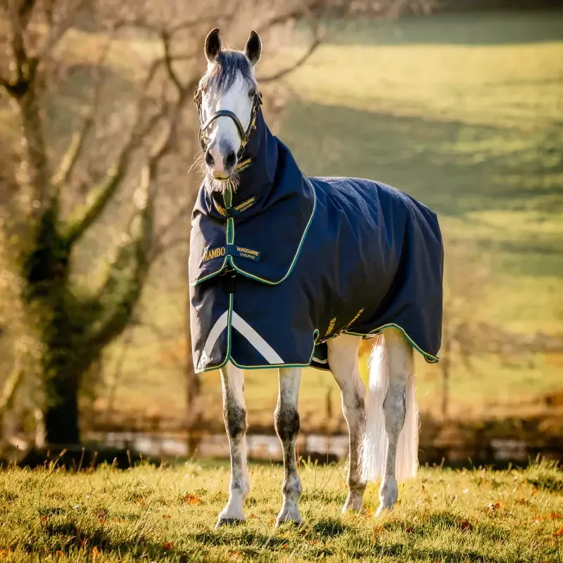 Authentique Couverture cheval impermable Rambo Duo Force 2 Horseware - 160 cm - Marine/Teal or marine BGTB