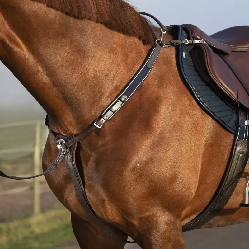 Collier de chasse cheval lastique trois points avec martingale Micklem Horseware - Cheval - Brun Prix Rduit