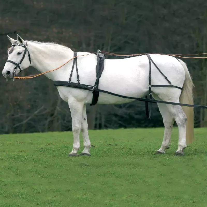 Populaire Harnais d'attelage cheval bricole simple Economic Waldhausen - Shetland - Noir