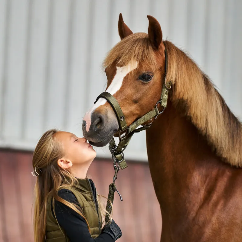 Licol Imperial Riding Rebel - Cob - Vert olive Certifi