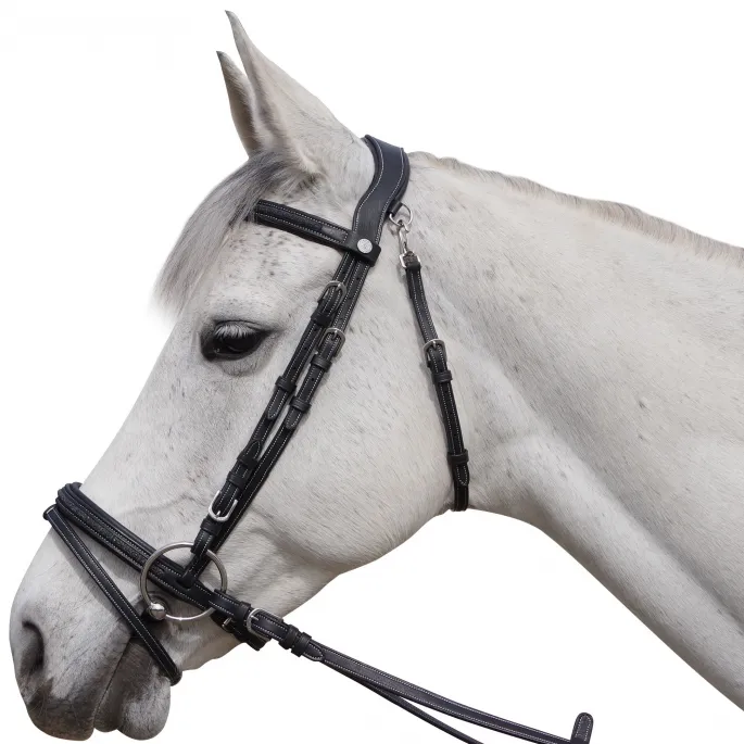 Nouvel Arrivage Bridon Aachen - Flags&Cup - noir/noir - cheval (full )