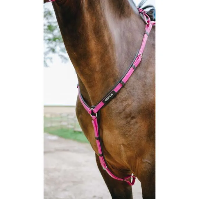 Commander Vite Collier de chasse Endurance Pop - Norton - noir - pur-sang (cob )