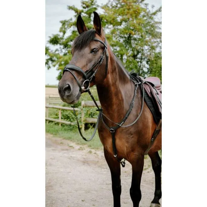Produit De Marque Bridon Endurance Pop - Norton - bleu roy - cheval (full )