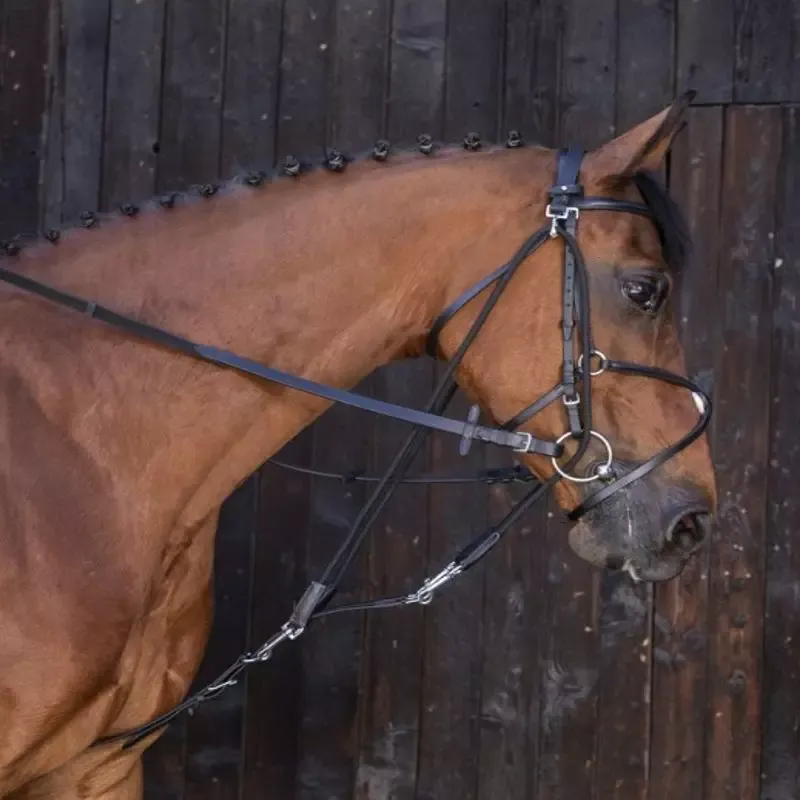 Vente Directe Gogue poulies cheval Riding World - Cheval - Noir