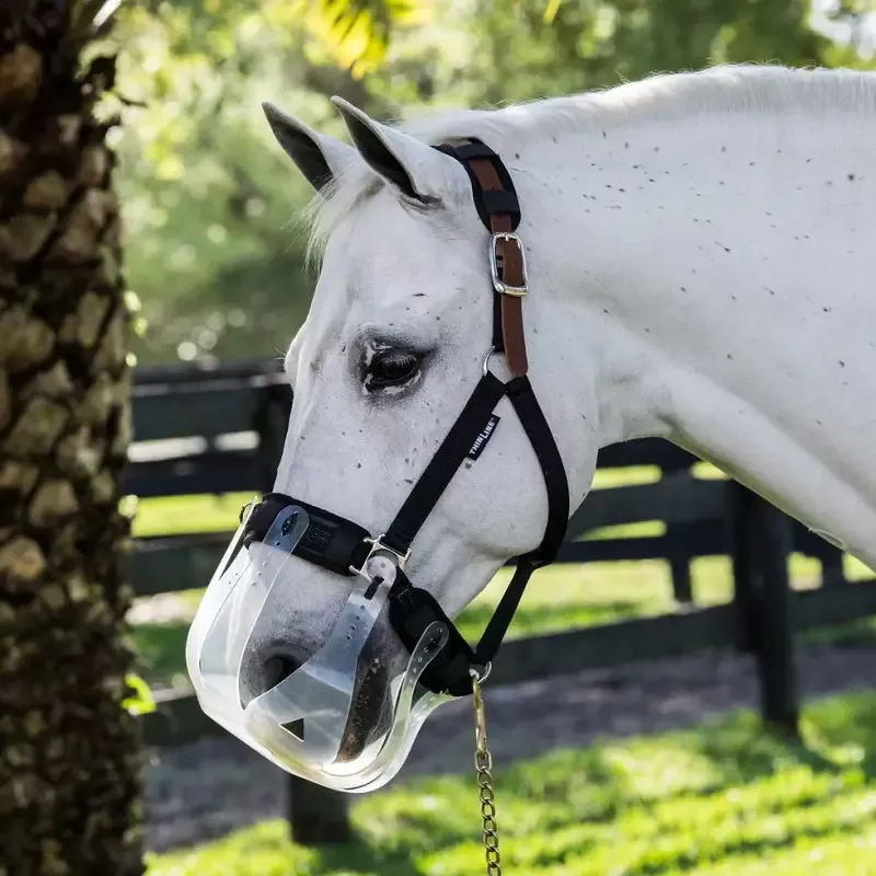 Panier anti-fourbure cheval - Limitation leve - Filly Thinline - Mini poney Dernire Chance