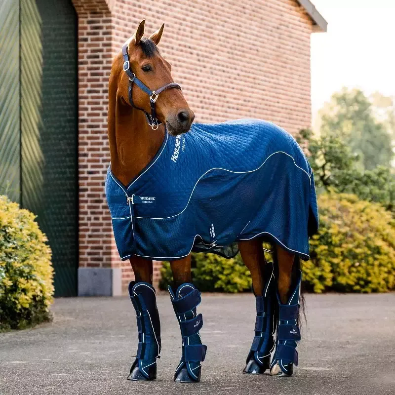 Commande En Gros Gutres transport cheval Signature Horseware - Cob/pur-sang - Marine