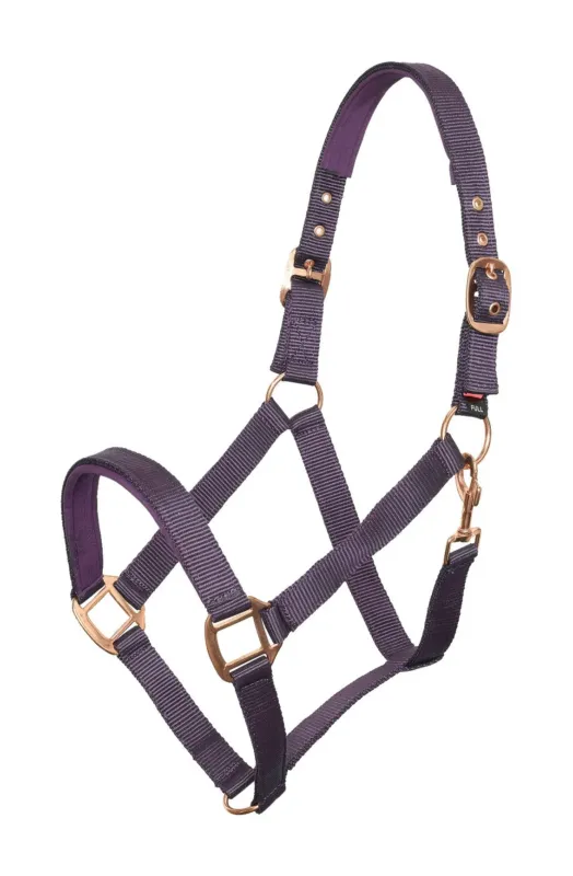 Must-Have Licol Imperial Riding Classic Sport - Cheval - Bordeaux