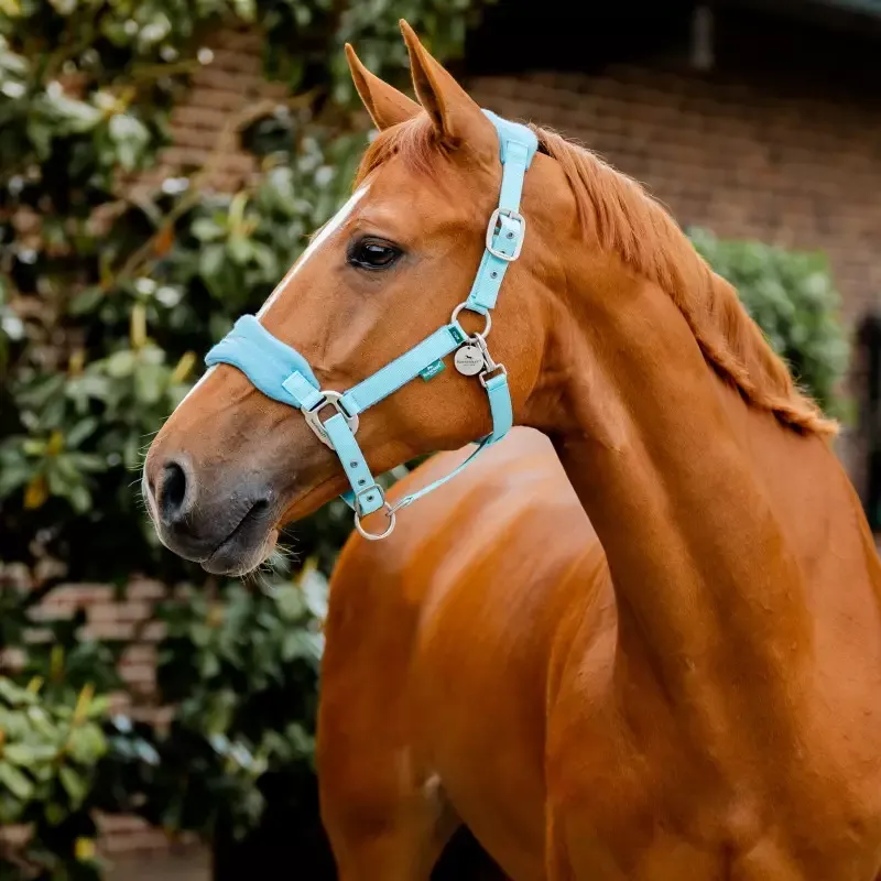 Licol cheval Grooming Signature Horseware - Cheval - Marine Bon March