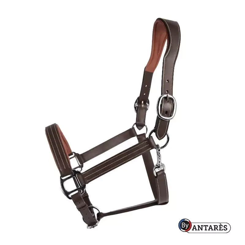 Marque Licol cheval cuir Signature Antars - Grand cheval - Trait - Marron