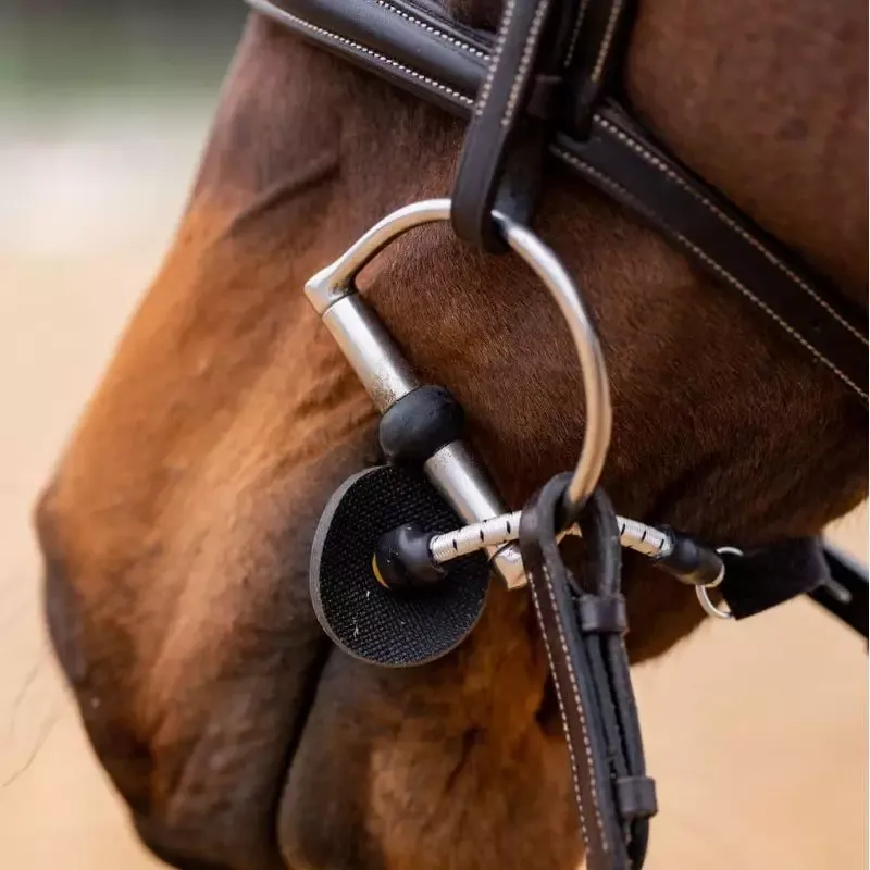 Bridon cheval stress Bride Busy Buddy Thinline - Unique Nouveaut