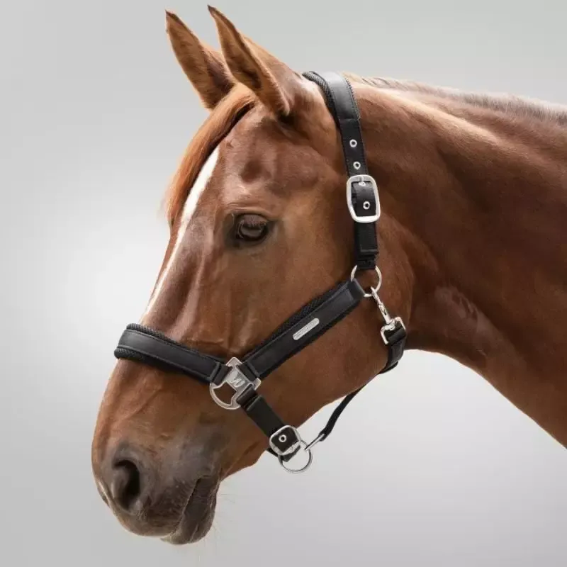 Soldes Licol cheval Breath Waldhausen - Poney - Noir