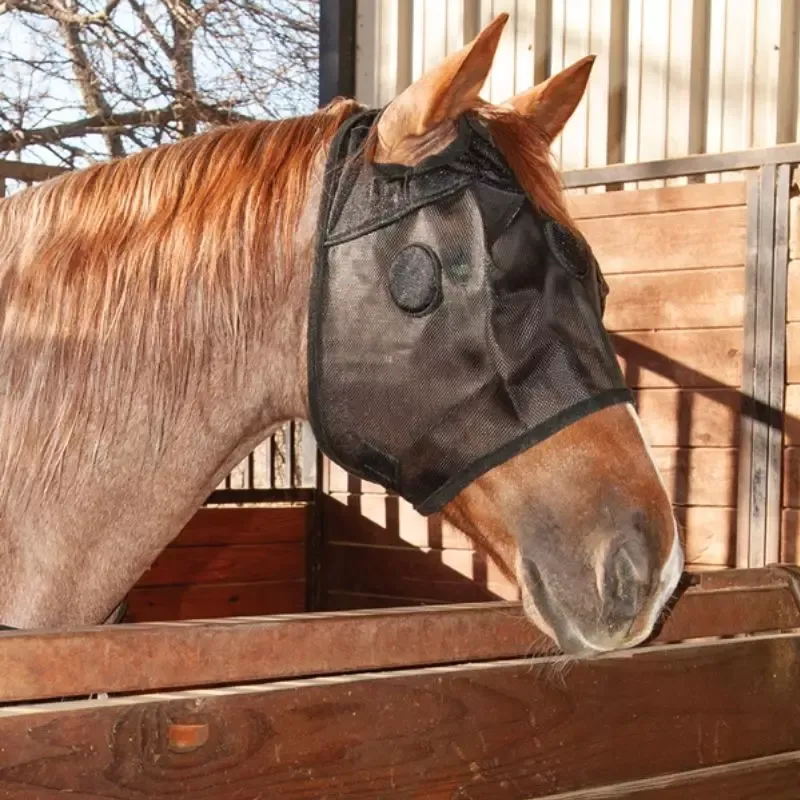 Masque anti-stress cheval MAGNTX Mask Classic Equine Cashel - Cheval - Noir Paiement Scuris
