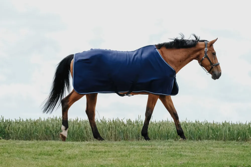 Solde Couverture schante Riding World - 105 cm - Marine