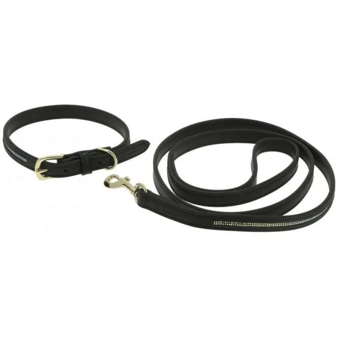 Vente Directe Collier et laisse pour chien Max – Equithme – marron – 40 cm