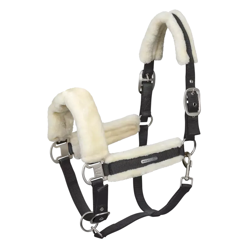 Licol cheval nylon et mouton Soft Waldhausen - Cob/pur-sang - Noir Prix Cass