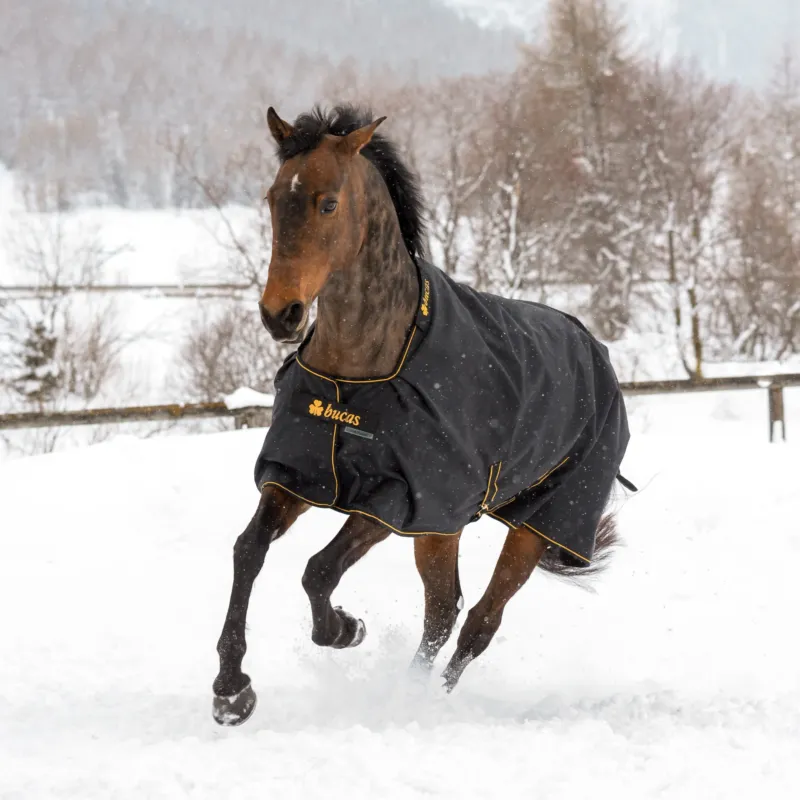 Prix Rduit Couverture Bucas Irish Turnout Big Neck Light 50g 1200D - 145 cm - Noir / dor