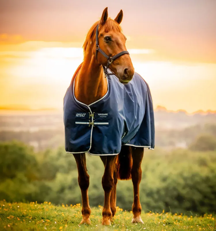Paiement Scuris Couverture Horseware Amigo Ripstop 900D Poney Turnout 50g - 90 cm - Marine witney