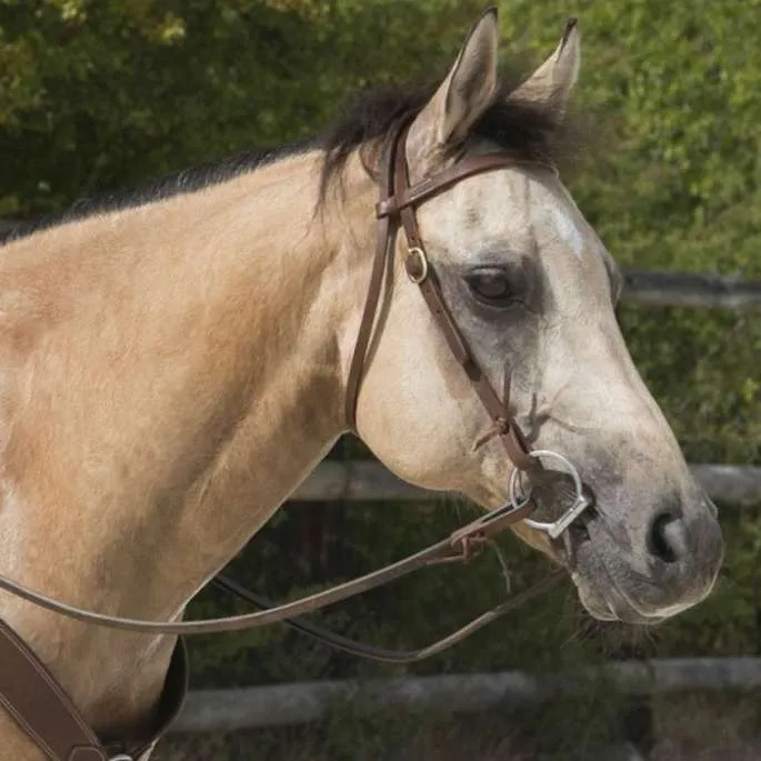 Bridon western Colorado by Frank Perret - Westride - chocolat - cheval (full ) Must-Have