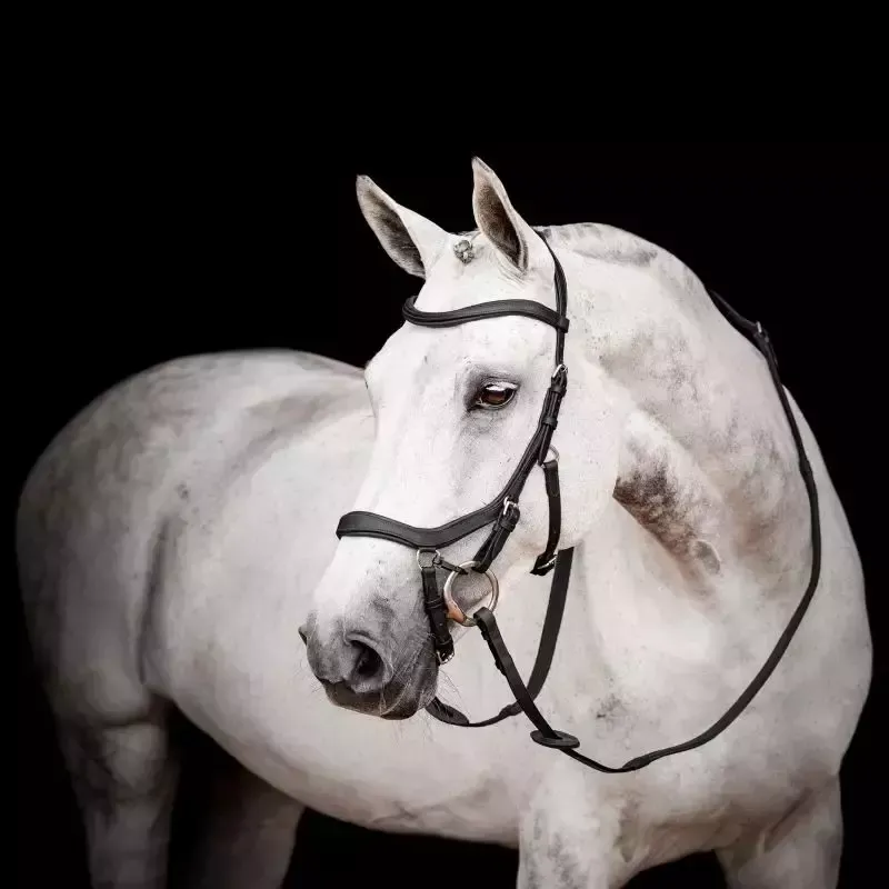 Bridon cheval cuir Micklem Competition 2 Horseware avec rnes - Cheval - Noir Usine Directe