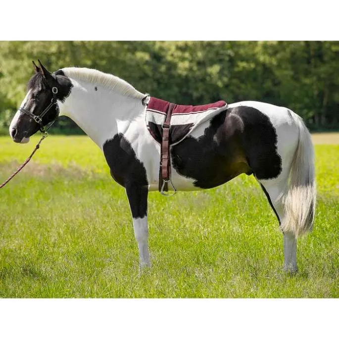 Tapis de monte cru - Norton - marron/beige - cheval (full ) Expdi Aujourdhui