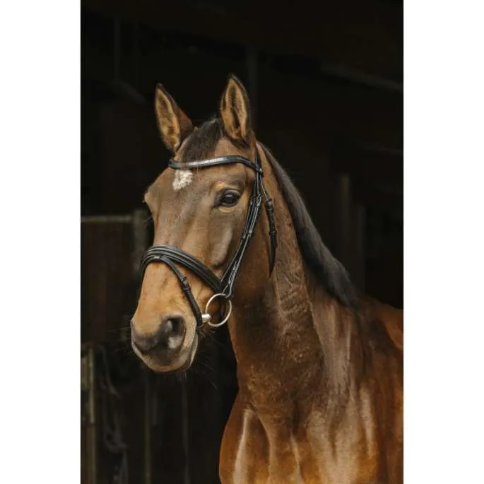 Bridon Galon Muserolle Combine - Norton Pro - noir - cheval (full ) Usine Directe