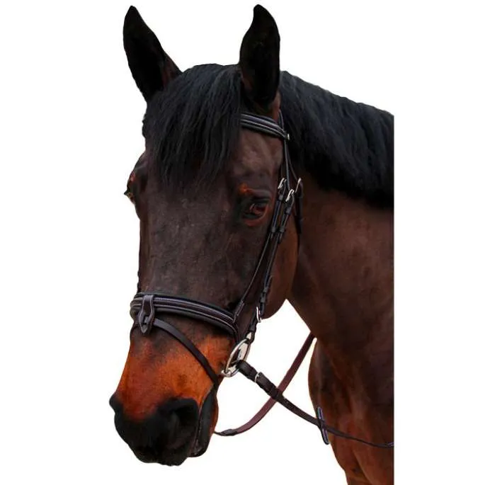Marque Bridon Nino bomb 1/2 rond - Canter - noir - cheval (full )