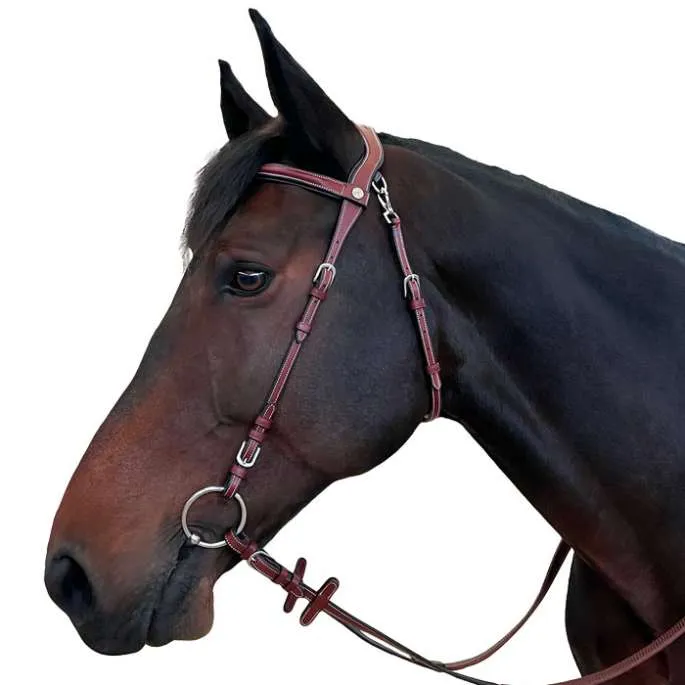 Bridon F&C Freedom - Flags&Cup - noir - pur-sang (cob ) Seulement Aujourdhui
