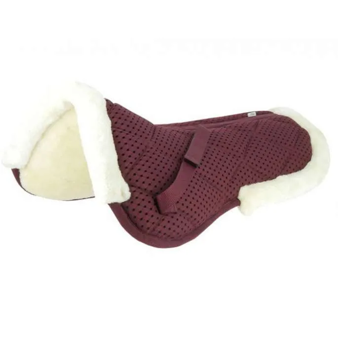 Achetez Aujourdhui Amortisseur Pro air - Equithme - chocolat - cheval (full )