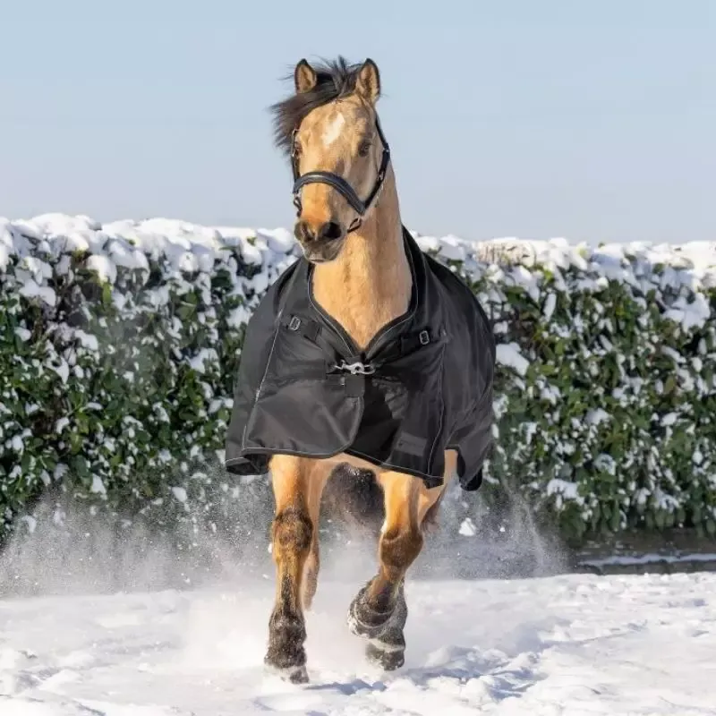 Acheter Direct Couverture impermable cheval encolure haute Scandic High Neck Waldhausen 100g - 135 cm - Noir