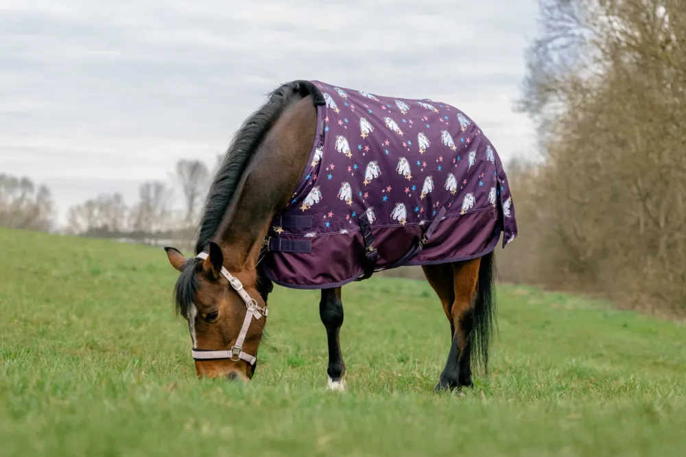 Acheter En Ligne Couverture Equithme Licorne standard 600D - 80 cm - Prune