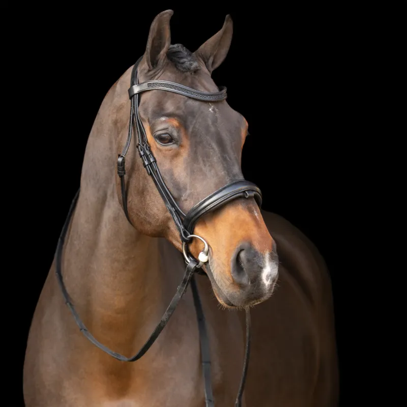 Top Vente Bridon avec muserolle Englaise Imperial Riding - Cheval - Noir / noir