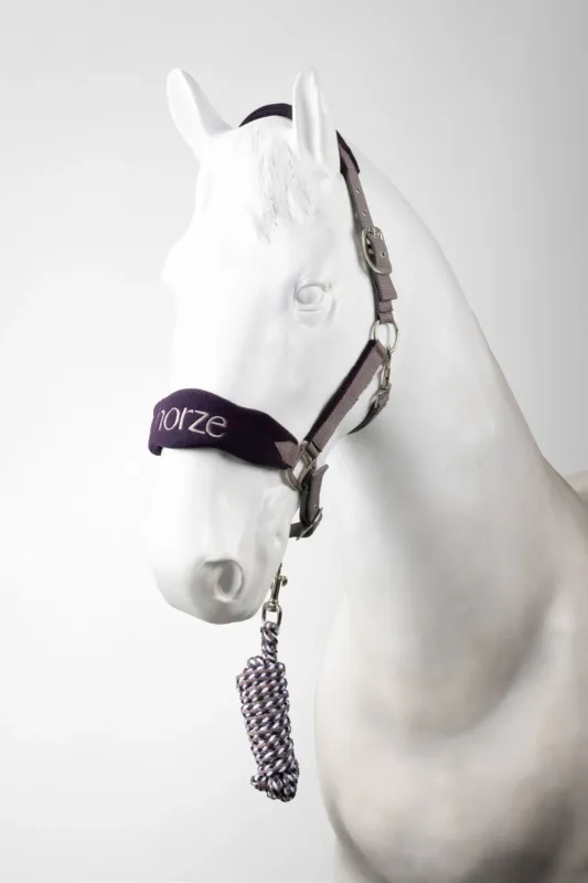 Offre Exclusive Licol et longe Horze Magic - Cob - Violet silex
