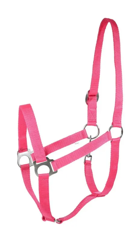 Prix Choc Licol Basic Horze - Cheval - Framboise