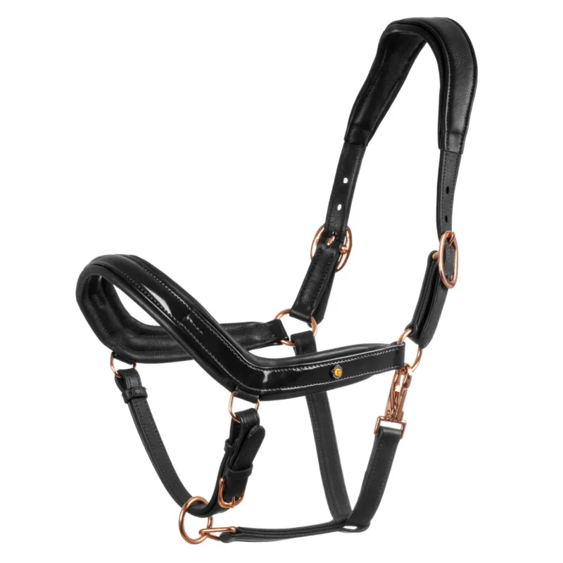 Livraison Gratuite Licol en cuir lisse Equestro boucles rose gold - Cheval - Noir