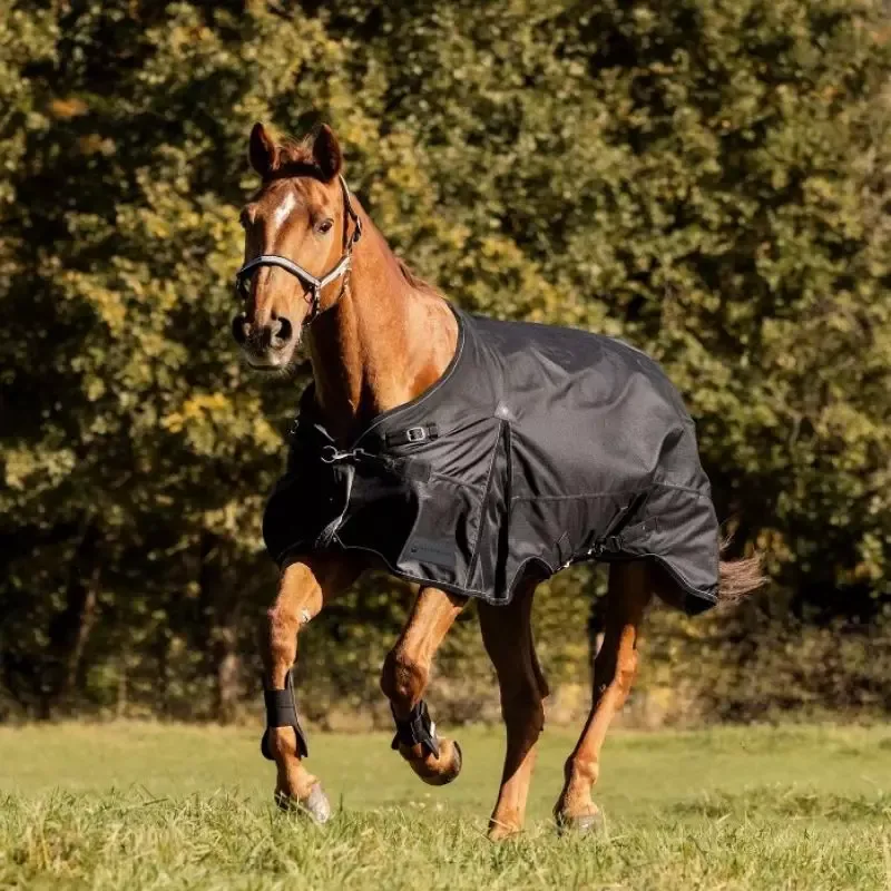 Couverture impermable cheval Scandic Waldhausen 50g - 165 cm - Noir Solde