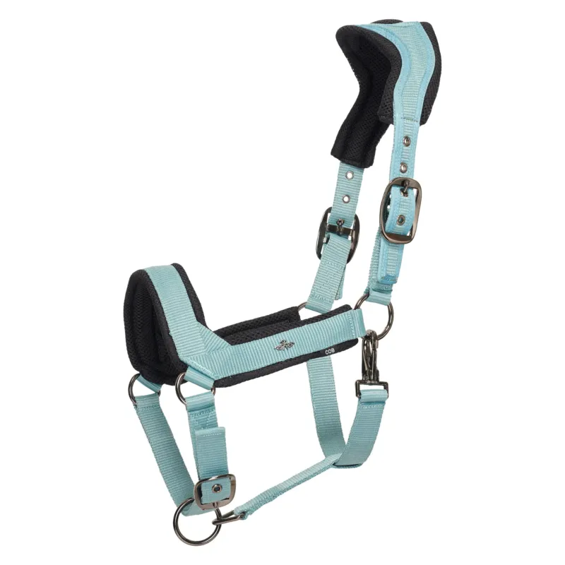 Meilleur Prix Licol HV Polo Esther - Cheval - Aqua sky