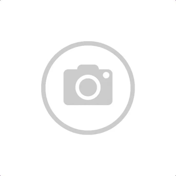 Bridon Pro Clincher - Norton - noir - pur-sang (cob ) Offre Spciale