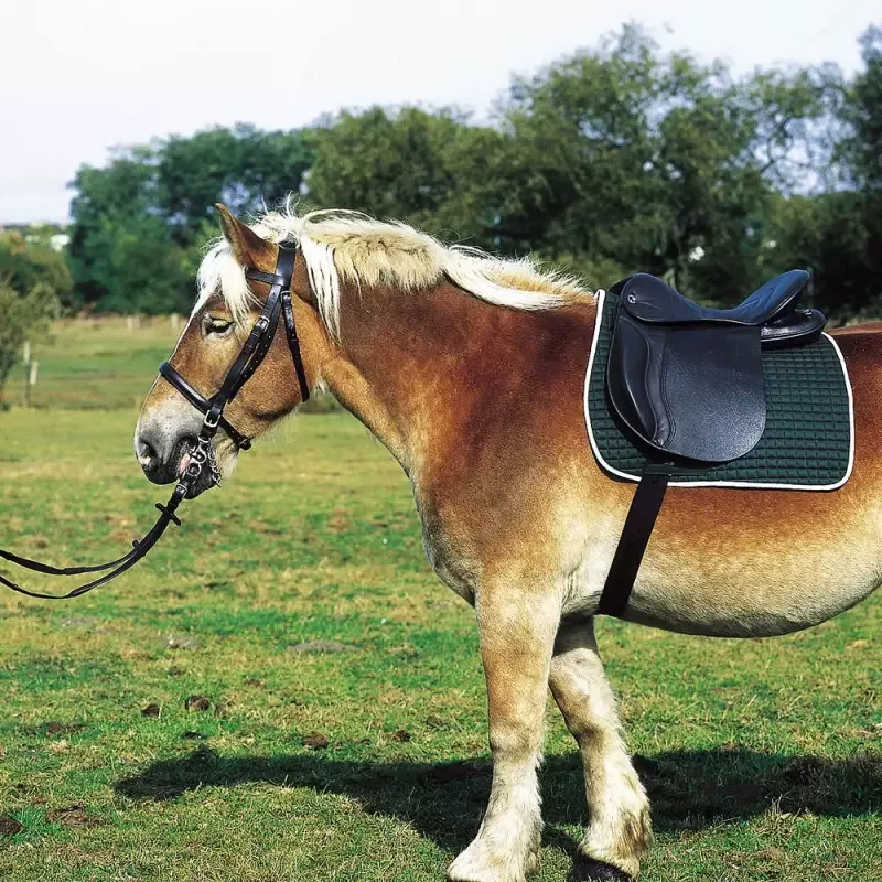 Selle cheval randonne Haflinger cheval de trait Cavalhorse - Noir Satisfait Ou Rembours