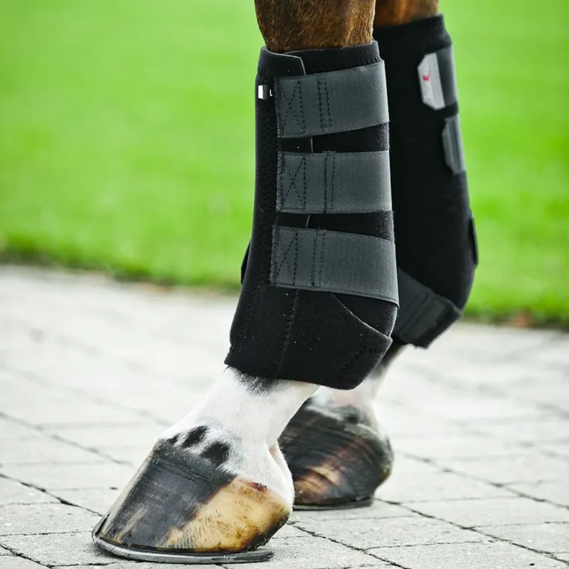 Nouvel Arrivage Protge tendons ProSoft Horze - S - Noir