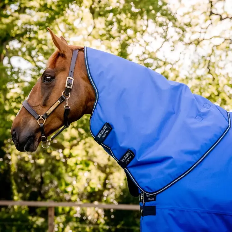 Couvre-cou cheval couverture Amigo Hero 0g Horseware - S - Bleu Meilleur Choix