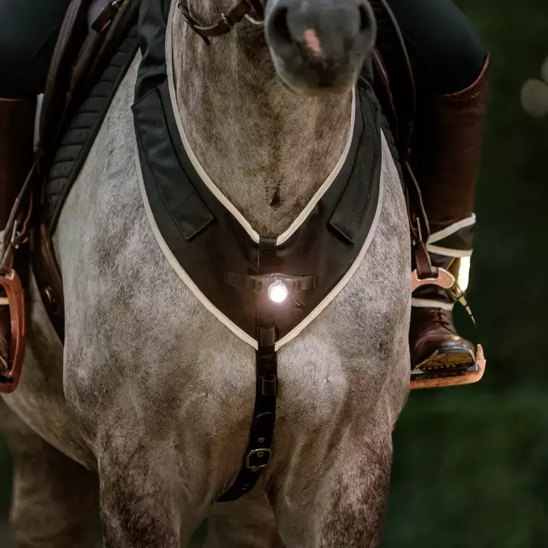 Collier de chasse cheval lampe Horselight Kavalkade – Cheval – Noir Haute Qualit