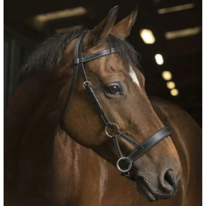 Prix Rduit Bridon Side-Pull Confort - Norton Pro - noir - cheval (full )