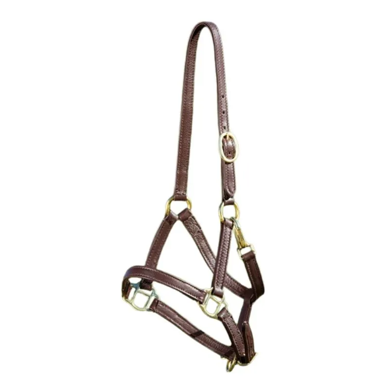 Licol poulain cuir souple HFI Master - Foal/poulain - Brun Meilleur Choix