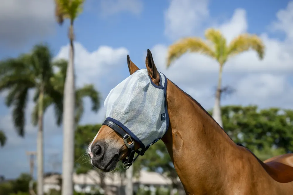 Offre Du Jour Masques anti-mouches Horseware Newmarket sans oreilles - Cheval - Marine witney