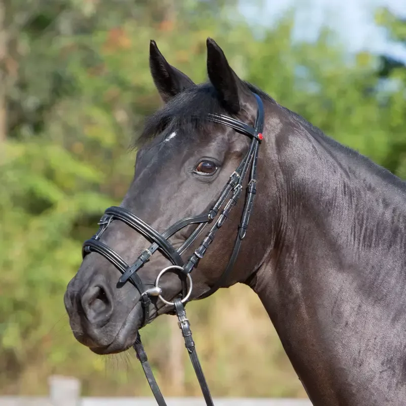 Prix Rduit Bridon muserolle combin cheval cuir Ultrasoft Kieffer - Cob/pur-sang - Noir